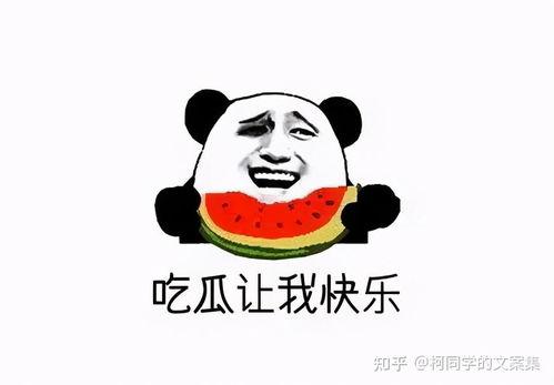 吃瓜不塌,网络热词背后的文化现象