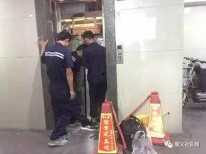 电梯打电话吃瓜视频,揭秘日常生活中的小确幸