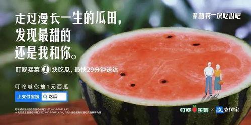 梦见在瓜田吃瓜,瓜田食瓜的奇幻之旅