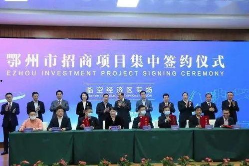 鄂州吃瓜父亲论坛,揭秘育儿那些事儿