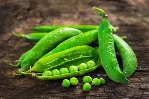 吃豆还是吃瓜,揭秘网络热议背后的真相与选择