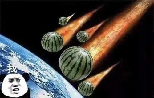 情侣吃瓜段子文案,情侣吃瓜段子大盘点