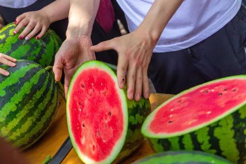 南海子吃瓜,揭秘宫廷美食背后的故事