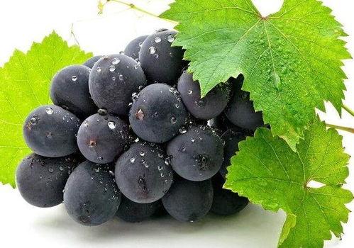 葡萄男友吃瓜女友,甜蜜与争议的恋爱故事