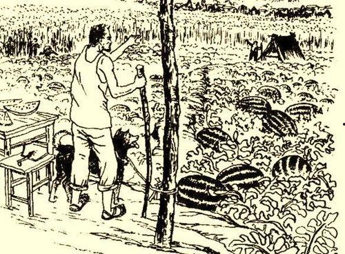 民间鬼故事吃瓜