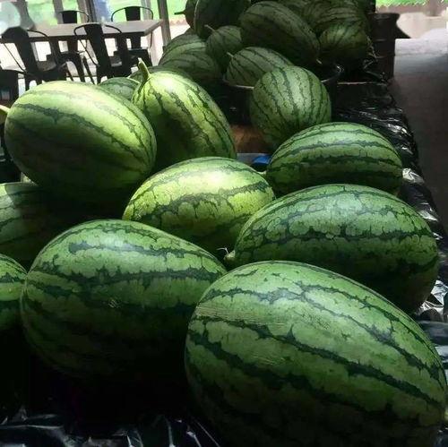 京队小弟吃瓜,揭秘篮球圈的那些事