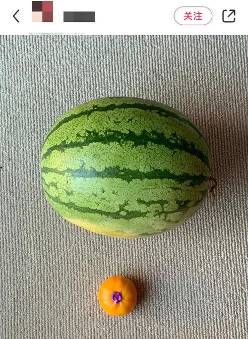 吃瓜就要吃全瓜,揭秘娱乐圈那些不为人知的幕后故事