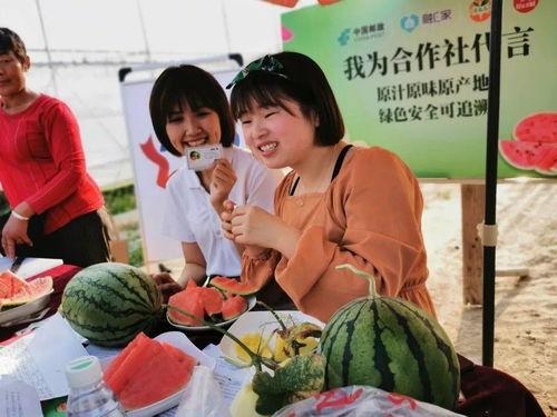 吃瓜视频邮政,邮政行业背后的那些事